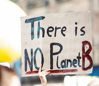Person holding a hand painted sign reading “There is NO Planet B”