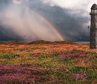 A lighthouse in a field of yellow and purple flowers with a rainbow arching behind.