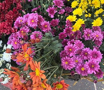 Mixed color flowers