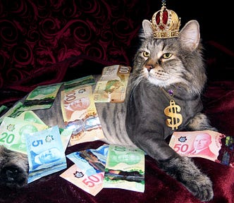 Royal-looking long-haired cat covered with colorful money-bills and a crown on its head.