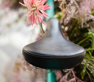 turquoise bike, seat, and flowers | © pockett dessert, July road trips
