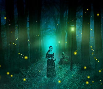 Women, magical, enchanted, trees, fireflies, park, lamplight