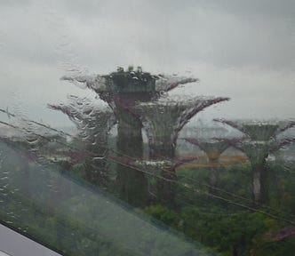 View from the Cloud Forest of Singapore where i saw “One Degree Maters” documentary.