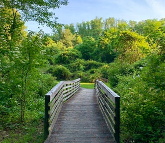 Bridge