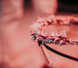 Stylized close up of a crown of thorns