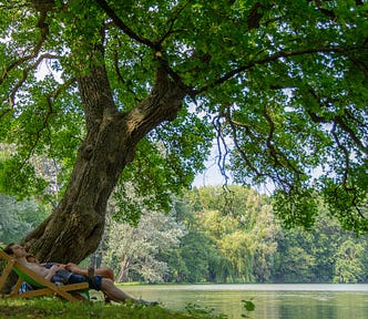 large mature tree at waters edge, in the background are more trees. A M/F couple are relaxing on deckchairs under the spread of the tree