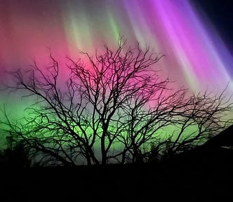 A picture of the solar aura cascading in radiant colour over a leafless tree in the middle of the night.