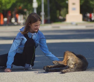 A girl sitting in a city square, playing with a dog