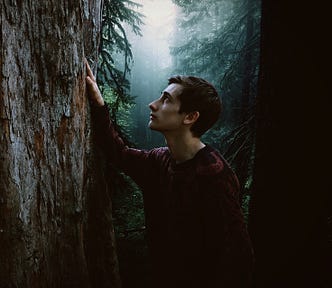 A man enjoys forest bathing and runs his hand over tree bark.