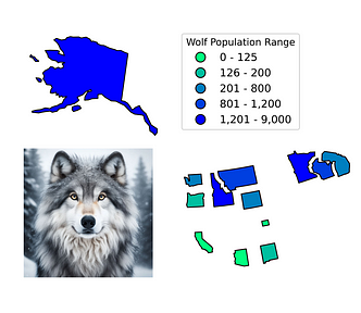 An infographic showing a cartogram of US states by wolf population, and an image of a gray wolf.