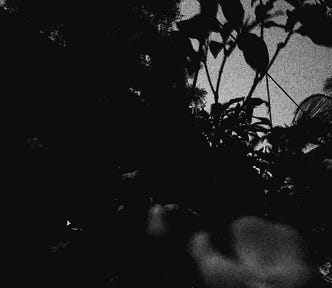 Low self esteem: Its like a flower thats beautiful but remains out of focus from our eyes because of low self confidence
