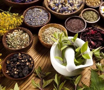 How Different Cultures Use Herbs — Part V. herbs in bowls. green leaves in white mortar and pestle. herbs. herbal medicine, iran. west asia