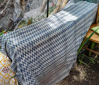 A bench in a small greenhouse, with a cloth over it