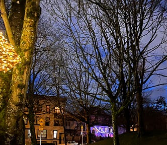 outdoor scene of residential area in east side of Vancouver with a beautifully lit up wooden bell hung up in a tree for those in the community to ring at holiday time