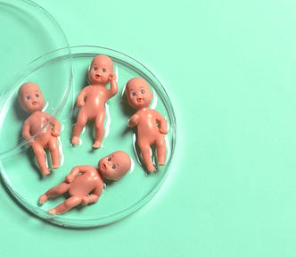 Baby figures in petri dish to symbolize IVF.