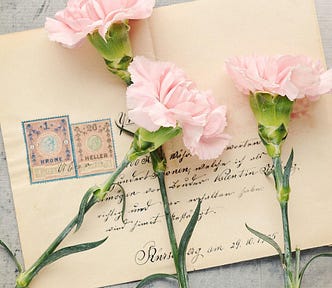 Three ponk carnations sitting upon an envelope.