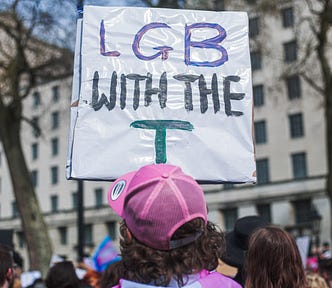 Building in the background. Protest sign held by person with brown curly shoulder length hair, wearing a pink snap back. The Sign is a white rectangle that says ‘L G B with the T’.