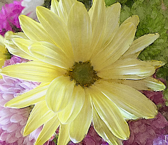 A yellow daisy amid a riot of flowers