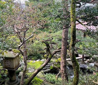 A view of the lush vegetation from the second floor