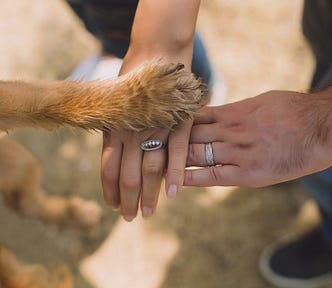 A dog’s paw rests on top of a woman’s hand, which is resting on top of man’s hand. Man and woman are wearing wedding rings.