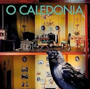 The book cover for O Caledonia by Elspeth Barker, showing the inside of a grand house and a jackdaw