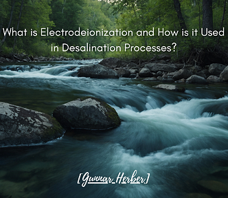 What is Electrodeionization and How is it Used in Desalination Processes?