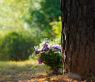 A small bouquet of purple and white clematis flowers at the foot of a tree.