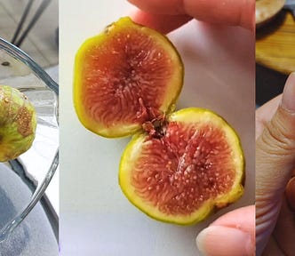 Photo montage of figs in various stages of being eaten.