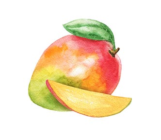 A watercolour painting of a mango, with one slice in the front.