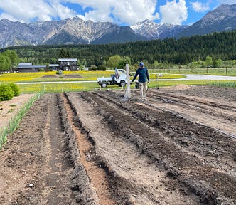 A man waters the soil with a hose while large mountains loom in the distance.
