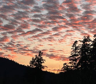 A sky filled with peach coloured clouds floats above trees on a darkened hillside