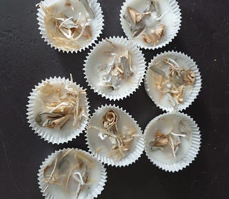 Some white paper cupcake cases filled with wax, wood shavings, white sage and a wick