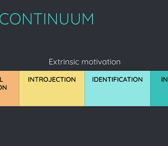 Motivational continuum