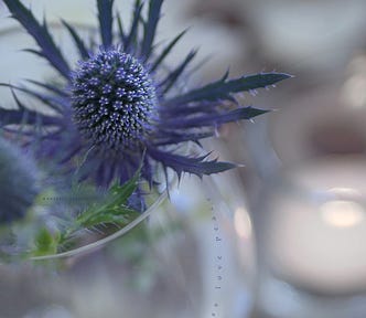love, peace, forgiveness in a glass vase with purple blue thistle flowerlight bokeh | © pockett dessert, forgiveness