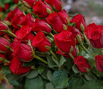 Image of a bouquet of red roses on stems