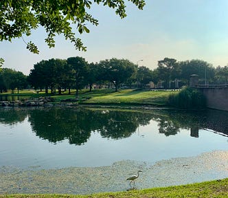 Lake