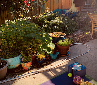 Yoga mat ready in my garden.