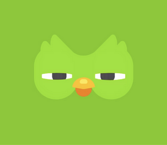 Image of the Duolingo owl with half closed eyes, looking suspicious