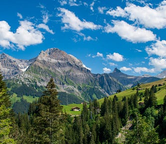 Swiss mountain scene, with peaks in the background and green hills and trees in the foreground. We needn’t be billionaires to appreciate this landscape