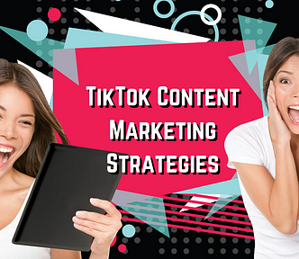 tiktok marketing guide to make money online