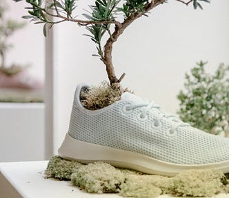 Allbirds eco-friendly sneakers