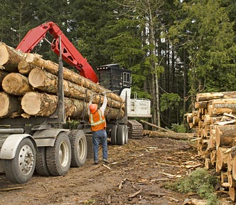 man standing next to a loaded log truck preparing the logs for hauling