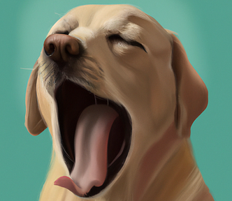 Digital painting of a golden labrador dog yawning.