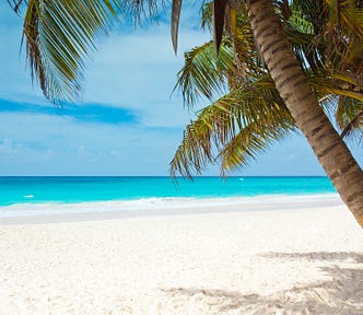 Caribbean beach and palm tree. Image by PublicDomainPictures from Pixabay.