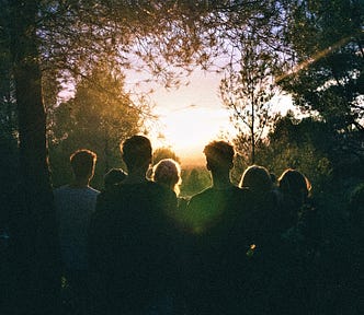 silhouette of group of people looking toward sunset through the trees