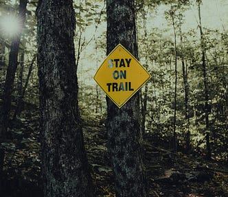 Two trees close up in a forest with sun shining between trees. A yellow diamond shaped sign with Stay On Trail is fixed to one of the trees