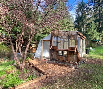 A greenhouse under a tree with blossoms.