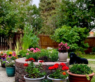 photo of firepit herb garden and other potted flowers surrounding it