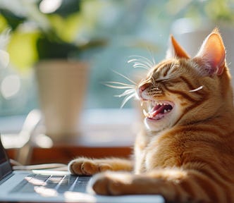 A cat, using a laptop and laughing