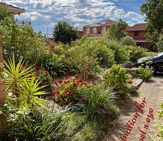 A garden scene with a black car and residential houses in the background. The words, ‘a fascination for my poet’s eye’ is overprinted along the pathway.